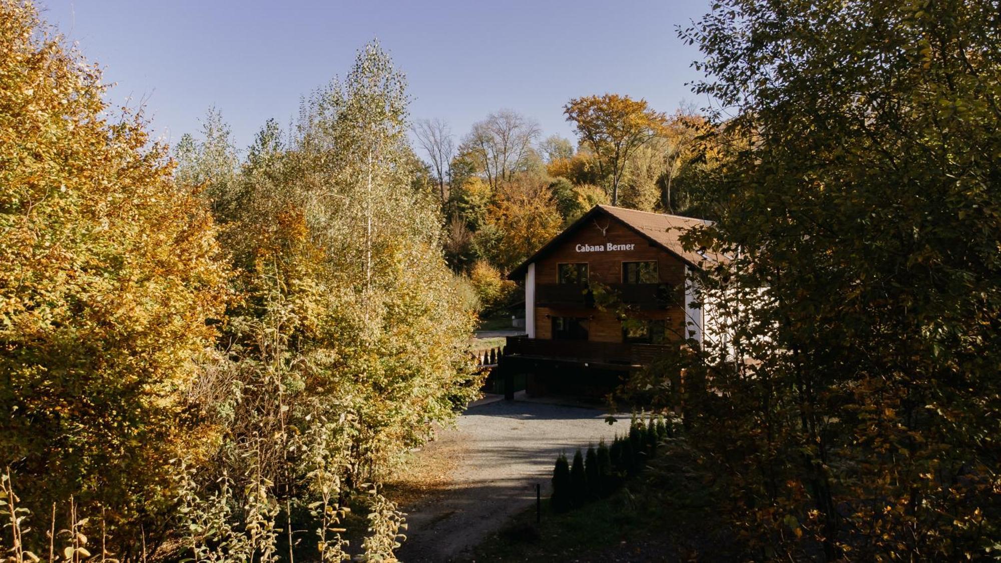 Cabana Berner Statiunea Mogosa Baia Sprie Extérieur photo